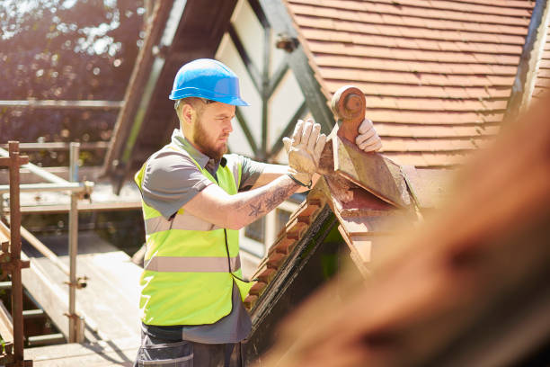 Best Local Roofing Companies  in Roseto, PA